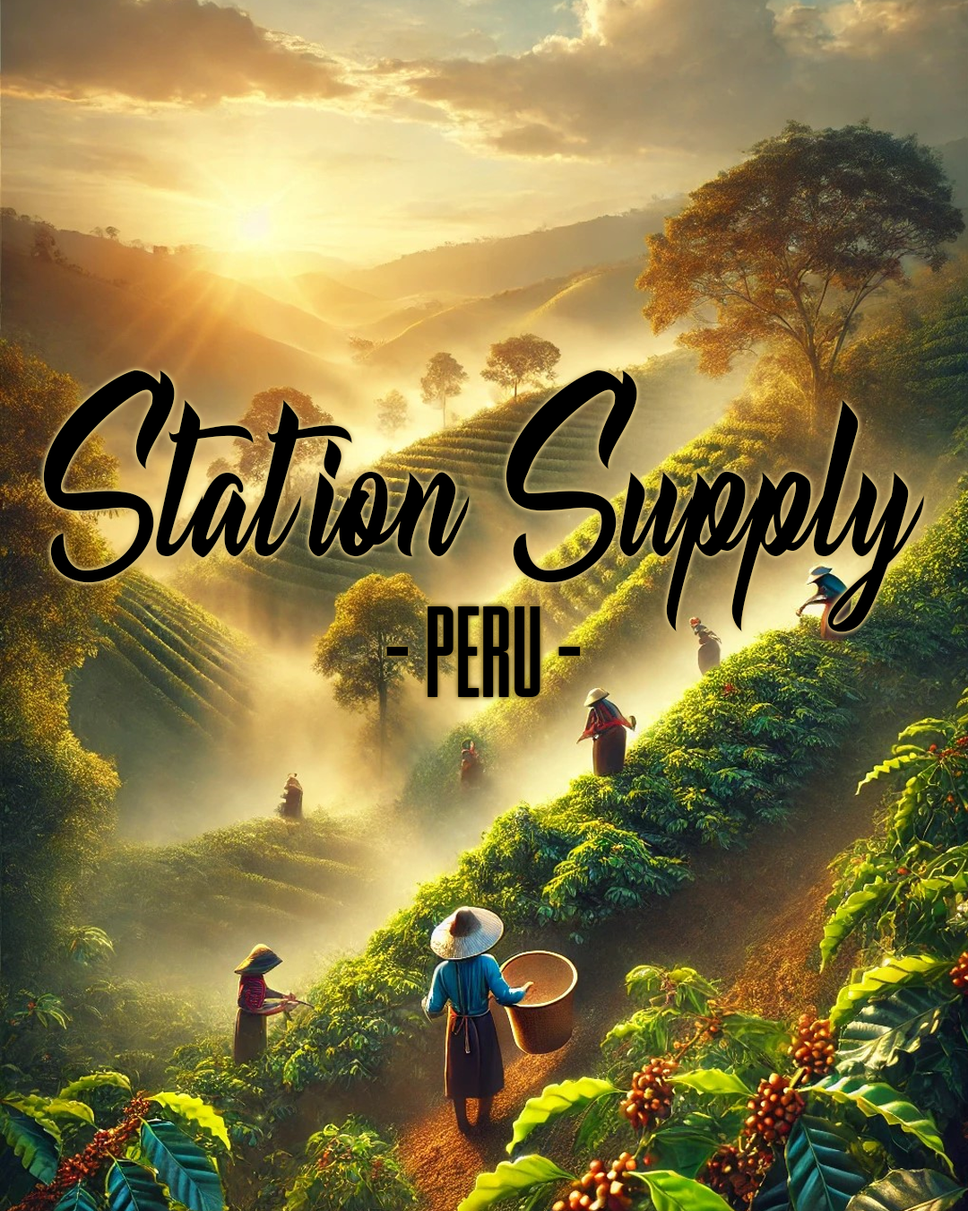 Station Supply - Peruvian Coffee