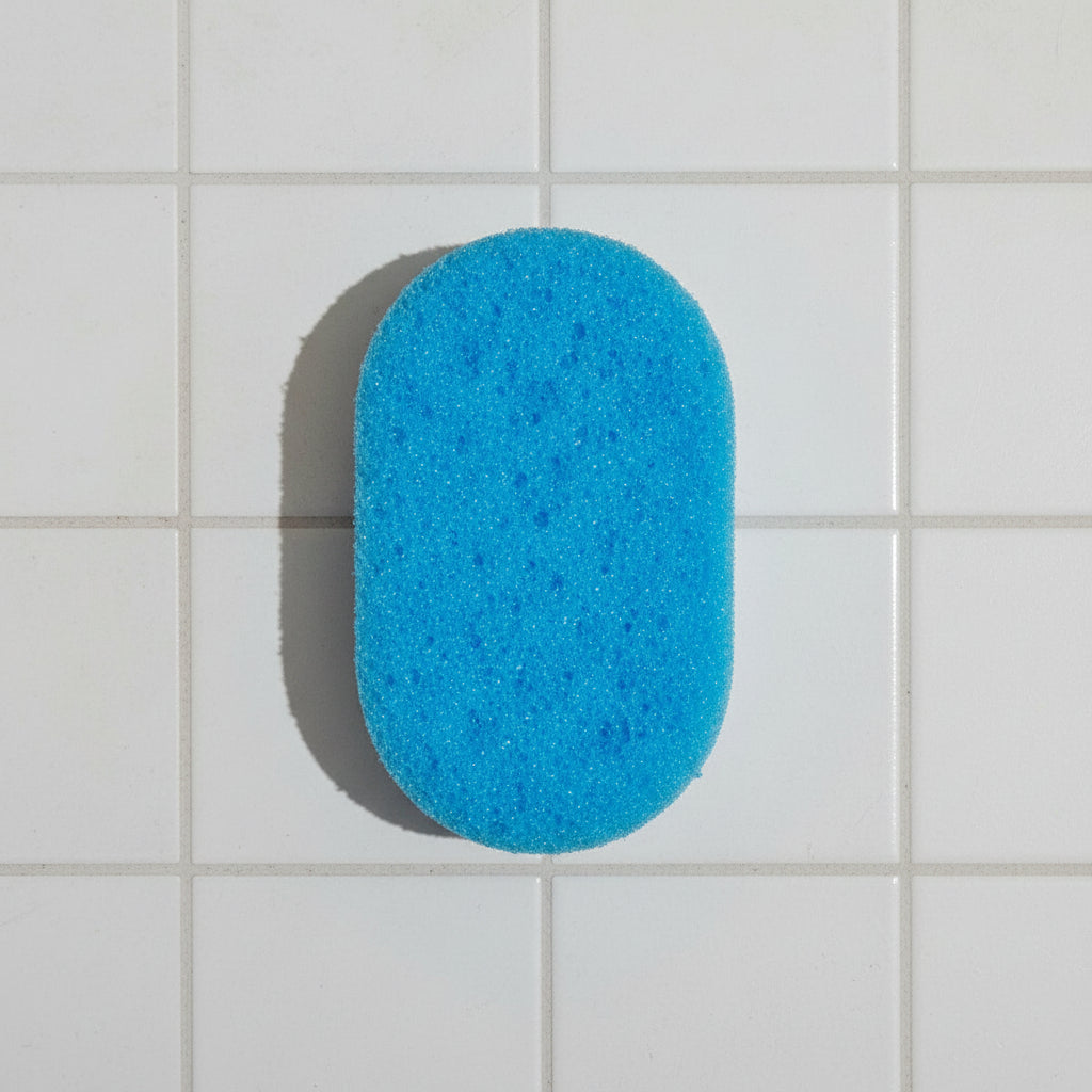 Loaded Soap Sponge - Inspired by...