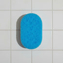 Loaded Soap Sponge - Inspired by...