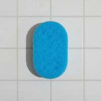 Loaded Soap Sponge - Inspired by...