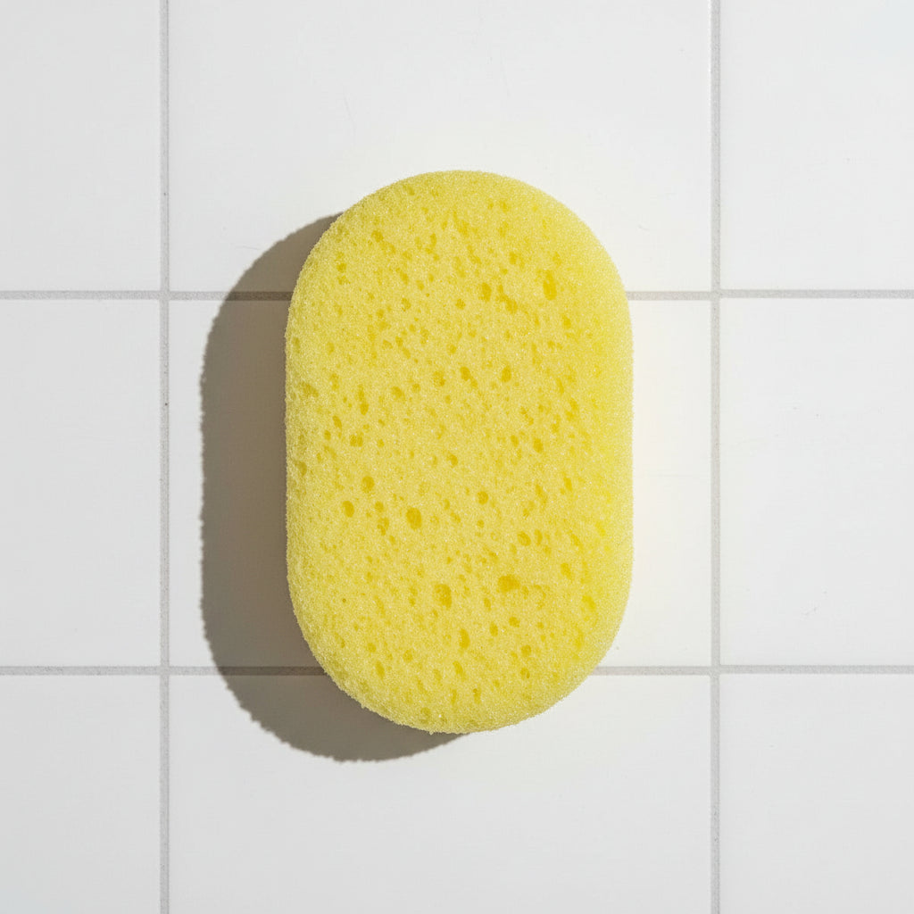 Loaded Soap Sponge - Inspired by...