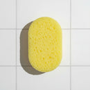 Loaded Soap Sponge - Inspired by...