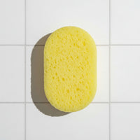Loaded Soap Sponge - Inspired by...